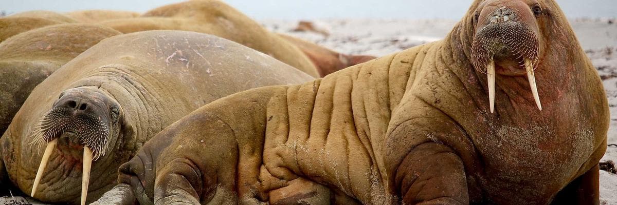 A view of Malappuram